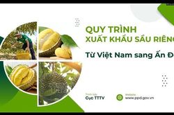 Việt Nam - Ấn Độ nỗ lực mở rộng dư địa thương mại nông sản