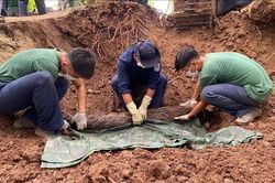 Tìm thấy 44 bộ hài cốt liệt sĩ tại xã biên giới Tân Thành, Đồng Tháp