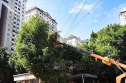 Phòng ngừa nguy cơ mất an toàn điện trong mùa mưa bão