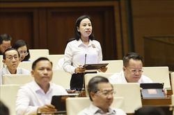 Bảo lưu quyền tài sản hợp pháp của chủ sở hữu khi xây dựng lại chung cư