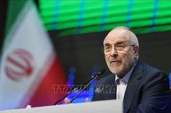 Iran cam kết vượt 'đòn trừng phạt khắc nghiệt nhất' từ Mỹ