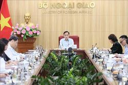 Bộ trưởng Ngoại giao L&ecirc; Ho&agrave;i Trung chủ tr&igrave; r&agrave; so&aacute;t, đ&ocirc;n đốc việc thực hiện c&aacute;c cam kết, thỏa thuận quốc tế