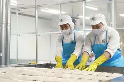Gỡ điểm nghẽn cho xuất khẩu nông sản - Bài cuối: Đồng hành cùng doanh nghiệp
