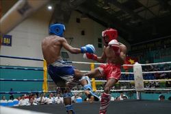 Hơn 400 vận động viên tranh tài tại Giải vô địch Kickboxing các nhóm tuổi Quốc gia 2026