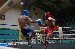 Hơn 400 vận động viên tranh tài tại Giải vô địch Kickboxing các nhóm tuổi Quốc gia 2026