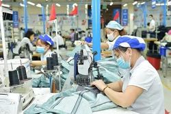 Thời điểm làm sạch doanh nghiệp "ma", doanh nghiệp "ngủ đông"
