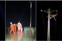 EVN chủ động ứng phó mưa lớn, bảo đảm an toàn hệ thống điện