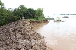 Sắp cao điểm triều cường ngập sâu: Vĩnh Long ứng phó ra sao?