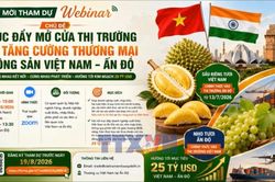 Việt Nam - Ấn Độ nỗ lực mở rộng dư địa thương mại nông sản