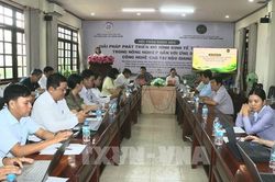 Biến rơm rạ, phụ phẩm thành tiền: Bối cảnh mới cho nông nghiệp