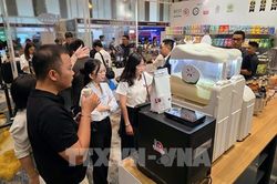 AI và tự động hóa: Lực đẩy mới cho du lịch Đà Nẵng