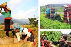 Hợp nhất 4 Chương trình mục tiêu quốc gia: Làm rõ mục tiêu, nguồn lực và cơ chế thực hiện