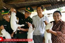 Nghĩa tình biên cương