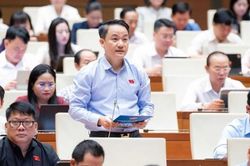Đại biểu đề xuất truy được dấu vết trách nhiệm trong dữ liệu đất đai