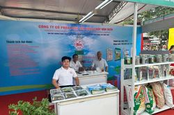 Phân lân Văn Điển đồng hành cùng nông sản Tây Nguyên