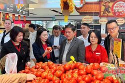 L&acirc;m Đồng triển l&atilde;m sản phẩm đặc trưng, kết nối với c&aacute;c nh&agrave; ph&acirc;n phối lớn