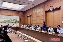 Đại biểu đề xuất xây dựng cơ sở dữ liệu quốc gia kiểm soát các dự án lấn biển