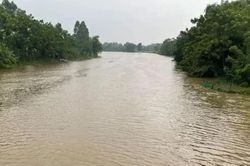Cảnh báo lũ trên các sông tỉnh Thanh Hóa