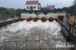 Chủ động vận h&agrave;nh c&aacute;c trạm bơm, cống ti&ecirc;u bảo đảm ti&ecirc;u tho&aacute;t nước phục vụ sản xuất