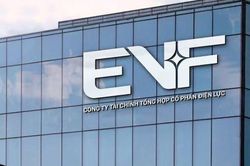 Lãnh đạo EVF: Năm 2026 có thể hoàn thành vượt kế hoạch lợi nhuận 1.325 tỷ