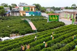 OCOP gắn với du lịch: Dư địa lớn, yêu cầu chuẩn hóa cao