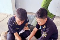 Triệt phá hàng loạt vụ buôn lậu quy mô đặc biệt lớn