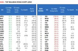 Tiền đổ vào chứng khoán ngân hàng đón sóng FTSE Russell, tổ chức trong nước tranh thủ thoát hàng