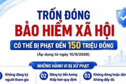 Trốn đóng bảo hiểm xã hội bắt buộc có thể bị phạt đến 150 triệu đồng