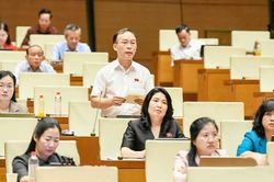 Đại biểu Trần Văn Tuấn: Cần đơn giản hóa, tiền tệ hóa chính sách hỗ trợ khi thu hồi đất