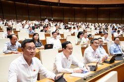 Đại biểu Quốc hội thành phố Đà Nẵng đề nghị hoàn thiện chính sách giá đất, bảo đảm sinh kế người dân khi thu hồi đất