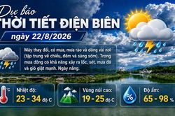 Bản tin Dự báo thời tiết ngày 22/8/2026