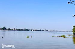 Đồng Nai: Cảnh báo lũ trên sông Đồng Nai và La Ngà