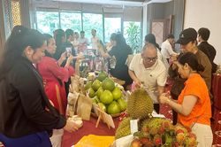 Đồng Nai tham gia hội nghị kết nối, x&uacute;c tiến xuất khẩu n&ocirc;ng, l&acirc;m, thủy sản tại L&agrave;o Cai