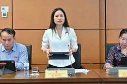 Đề nghị tiếp tục hoàn thiện các dự án luật về tư pháp hình sự