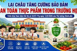 Lai Châu tăng cường bảo đảm an toàn thực phẩm trong trường học