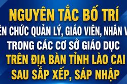 Nguyên tắc bố trí viên chức quản lý, giáo viên, nhân viên trong các cơ sở giáo dục trên địa bàn tỉnh Lào Cai sau sắp xếp, sáp nhập