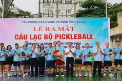Ra mắt C&acirc;u lạc bộ Pickleball Văn ph&ograve;ng Đo&agrave;n đại biểu Quốc hội v&agrave; HĐND tỉnh