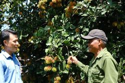 Cát Tiên 3 tạo đà từ 4 chương trình trọng tâm, 3 công trình trọng điểm