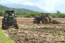 Tăng tốc phủ xanh rừng thay thế phía Đông Lâm Đồng