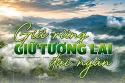 Giữ rừng - giữ tương lai đại ngàn