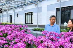 Hiệp Thạnh bứt phá từ nông nghiệp công nghệ cao