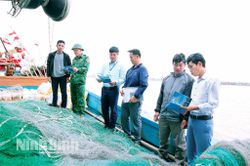 Siết chặt kiểm tra, xử lý tàu cá khai thác sai vùng