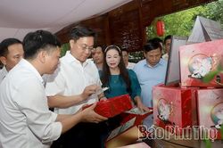 Phát triển nông nghiệp quy mô lớn, công nghệ cao gắn với sinh thái, chế biến sâu và du lịch trải nghiệm