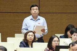 Đại biểu Quốc hội tỉnh Phú Thọ thảo luận về chính sách sửa đổi Luật Đất đai và Luật Nhà ở