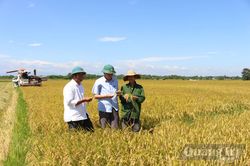Sức bật mới ở Lam Thủy
