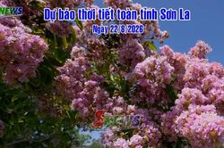Dự báo thời tiết toàn tỉnh Sơn La ngày 22/8/2026