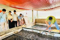 Hòa An nhân rộng mô hình kinh tế mới