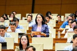 Đại biểu Lý Thị Lan: Cần kết nối chính sách với nguồn đất để giải quyết căn cơ đất ở, đất sản xuất cho đồng bào dân tộc thiểu số