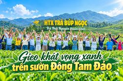 Gieo khát vọng xanh trên sườn Đông Tam Đảo