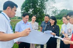 Khảo sát công tác quản lý đất đai tại các xã Trần Phú, Đồng Hỷ